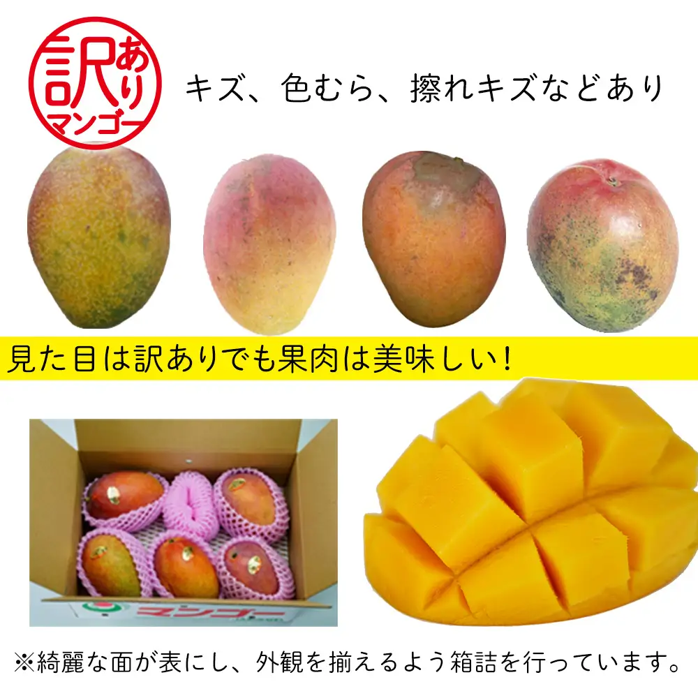南国奄美のアップルマンゴー 傷物・訳あり 約2kg【2026年発送】 鹿児島県 奄美群島 奄美大島 龍郷町 国産 奄美産 青果 果物 くだもの フルーツ 南国 トロピカル デザート スイーツ 濃厚 とろける 甘い アップルマンゴー 訳あり 2kg