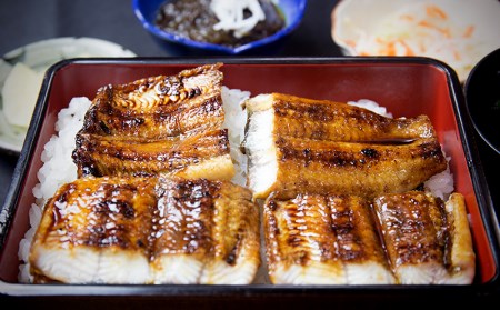 うなぎ 鹿児島県産　うなぎ蒲焼　約70g×6枚【タレ・山椒付】 