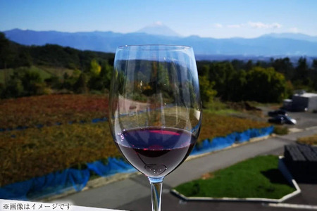 ワイン 12本 セット ｜赤4本 白 5本 スパークリング 3本 飲み比べ ソムリエ セレクト [本坊酒造 マルス穂坂ワイナリー 山梨県 韮崎市 20743114]