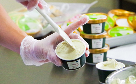 ジェラート 奄美の素材をたっぷり使った贅沢ジェラート詰合わせ　8個入