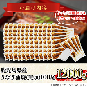 ＜大満足＞東串良町のうなぎ蒲焼(無頭)(120g×100尾・計約12000g・タレ、山椒付)うなぎ 高級 ウナギ 鰻 国産 蒲焼 蒲焼き たれ 鹿児島 ふるさと 人気【アクアおおすみ】【4504306a】