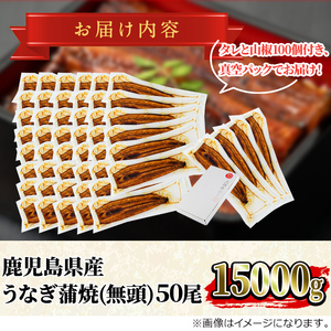 ＜大満足＞東串良町のうなぎ蒲焼(無頭)(300g×50尾・計約15000g・タレ、山椒付)うなぎ 高級 ウナギ 鰻 国産 蒲焼 蒲焼き たれ 鹿児島 ふるさと 人気【アクアおおすみ】【5004307a】