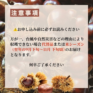 丹波栗 Lサイズ 1.2kg ＜丹波四季菜料理 宮本屋＞栗