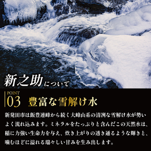 新之助【令和7年産】新之助 5㎏  玄米 米 数量限定 D18_03