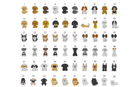 クールネック（ネイビー・ピンク・グリーン）わんちゃんのお名前刺繍入り（犬の洋服）