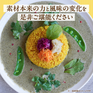 魚介のグリチリカレー_有明名産 漬けあみ グリーンカレー 180g × 5パック 和製 コク深い 鼻から抜ける爽やかな辛さ カレー カレーライス 時短 レトルト 食品 加工品 肉加工品 惣菜 福岡県 久留米市 お取り寄せ お取り寄せグルメ 送料無料 〔Ca024〕