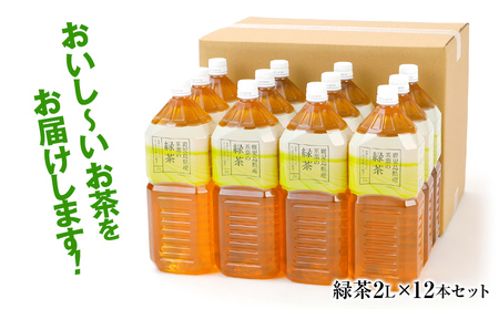 【定期便3カ月】 お茶 ペットボトル おいし～い緑茶 2L×12本 お茶