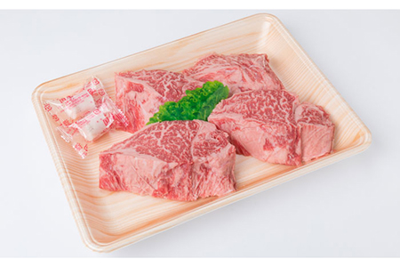【全12回定期便】【極上 ヒレ ステーキ】 100g×4枚 A4ランク 博多和牛 糸島市/糸島ミートデリ工房[ACA138] ステーキ ヒレ ヒレ肉 フィレ ヘレ 牛肉 赤身 黒毛和牛 国産