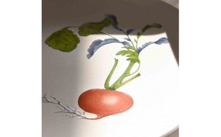 【伊万里焼】プレート 平皿 Red turnip φ29cm Plate 028-H834