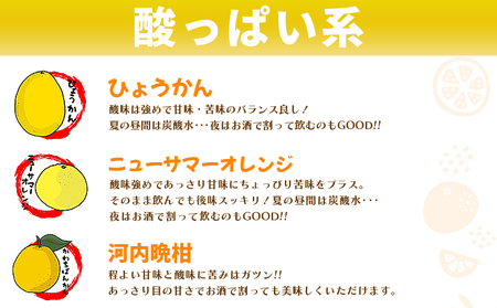 ＜一歩会 ジュエリーボックス ジュース飲み比べセット 720ml×6本入り（果汁100%ストレートジュース）愛媛 みかん＞ ミカン 柑橘 果物 フルーツ 特産品 渡江から一歩を踏み出す会 飲んで応援 愛媛県 西予市【常温】『令和8年5月より順次出荷予定』ATI0020