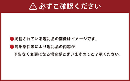 C2 【3回定期便】季節の逸品 夏 フルーツ 詰め合わせ すもも ぶどう デラウェア 梨