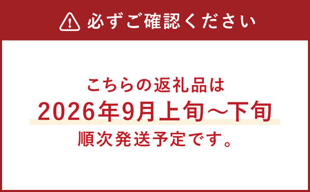 A8 【2026年9月中に順次発送予定】シャインマスカット 約1.2kg マスカット ぶどう 葡萄