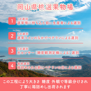 桃 2026年 先行予約 岡山 白桃 エース 4～6玉 約1kg JA おかやま のもも（早生種・中生種） もも モモ 岡山県産 国産 フルーツ 果物 ギフト 