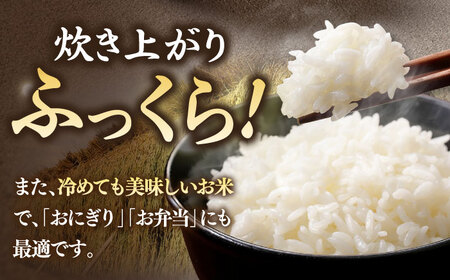 こしひかり 5kg [JCZ021] コシヒカリ 精米 白米