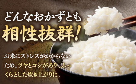 【R7年度産】壱岐産米 なつほのか 5kg[JCZ025] 米
