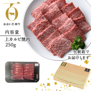 おおいた和牛 上カルビ 焼肉 (250g) 国産 牛肉 肉 霜降り 低温熟成 A4 和牛 ブランド牛 カルビ BBQ 冷凍 大分県 佐伯市【DH219】【(株)ネクサ】