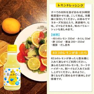 ８コのれもん（150ml）5本セット