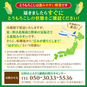 石狩産 スイートコーンとうもろこし（4.0kg以上 約9～12本）｜トウモロコシ とうきび 北海道 石狩市