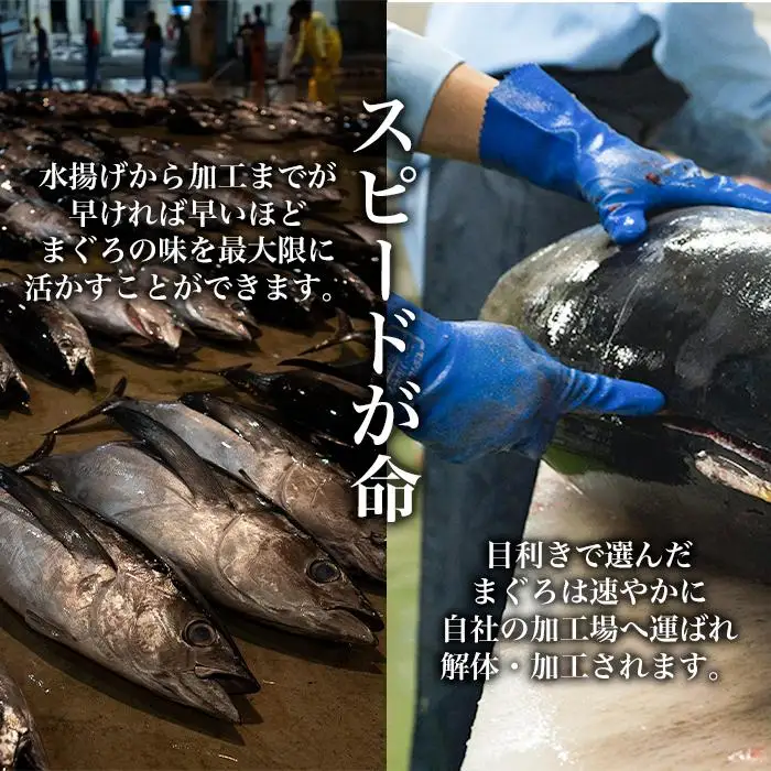 【訳あり】丼にぴったり！那智勝浦町水揚げびんちょうマグロのぶつ切り（5パック）【不揃い】（計1.5kg）