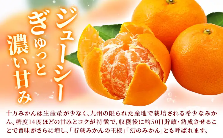 鹿児島県産 新生十万みかん 贈答用 約5kg 祝迫果樹園《1月中旬-2月中旬頃出荷》鹿児島県 さつま町 みかん 十万みかん 蜜柑 柑橘 果物 くだもの フルーツ ジューシー