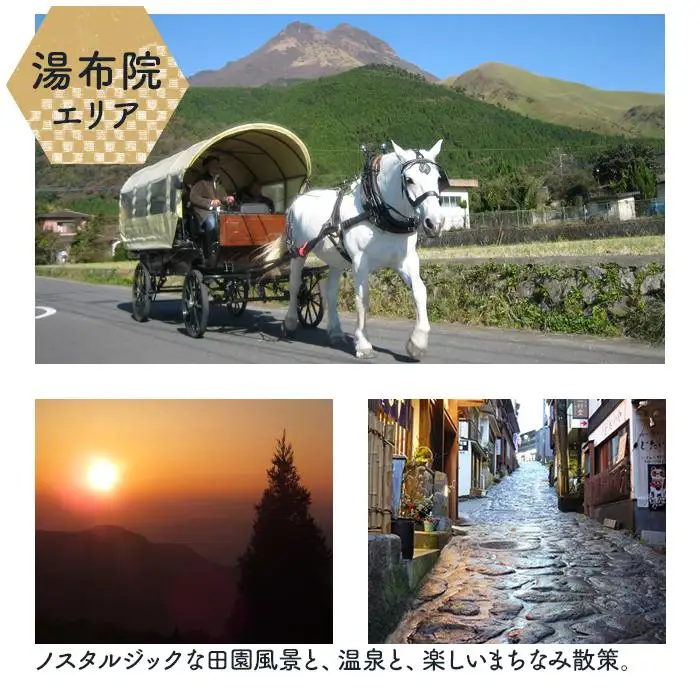 【由布市（湯布院、由布院、湯平、塚原高原）】ふるさと納税宿泊補助券6,000円分 | 温泉 宿泊券 旅行 トラベル 宿泊 湯布院 由布院