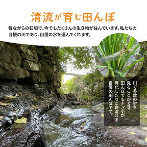 S108-003A_〈令和8年産〉熊本県天草産　天草の大地の恵み　新米コシヒカリ6㎏【先行予約】