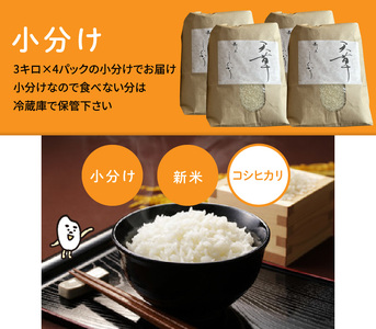 S109-004A_〈令和8年産〉熊本県天草産 天草コシヒカリ12kg（3kg×4） 【先行予約】 新米 令和8年産 コシヒカリ 12kg 精米 3kg × 4袋 単一原料米 国産 米 お米 白米 甘み 香り ツヤ 粘り バランス 美味しい ごはん おにぎり 弁当 おむすび 土作り こだわり 小分け 冷蔵庫 保管可能 お取り寄せ 食品 九州 熊本県 天草市 送料無料