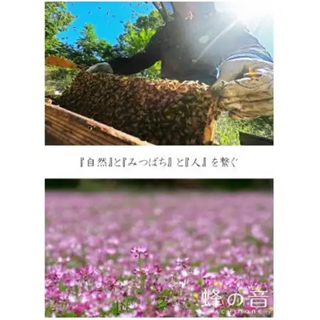 純粋国産百花蜂蜜1kg_調味料 はちみつ  ハチミツ 蜂蜜_【1312397】