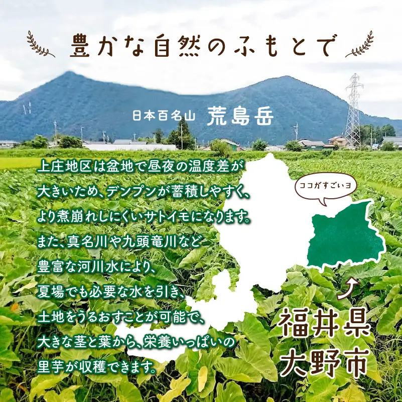 【先行予約】【12月発送分】満天☆上庄産さといも5kg 日本一の味をめざし、有機肥料配合、減農薬栽培の「独自栽培」で作る里芋[A-005001_02]