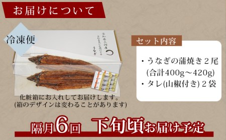 【定期便】三河産うなぎ「超特大蒲焼き2尾(合計400～420g)」×6回(隔月1回　1年間)・A133-108