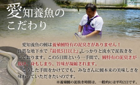 【定期便】三河産うなぎ「超おばけ蒲焼き2尾(合計500g以上)」×6回(隔月1回　1年間)・A134-120