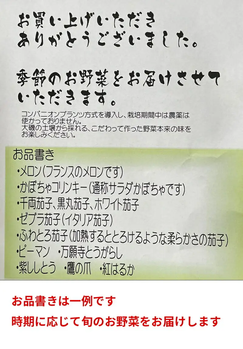 【冷蔵便】季節のこだわり野菜セット 野菜詰め合わせ（春野菜 夏野菜 ハーブ など）【 神奈川県 大磯町 野菜セット 詰め合わせ 季節 旬 】