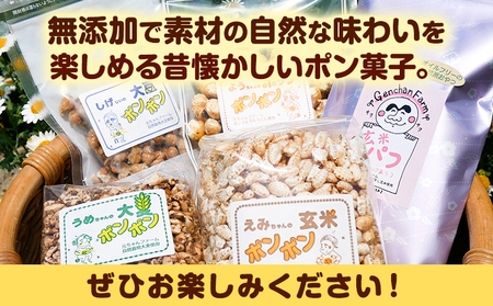 ポンポン菓子詰合せ 元ちゃんファーム《90日以内に出荷予定(土日祝除く)》 和歌山県 紀の川市 玄米 大豆 大麦 トウモロコシ 送料無料