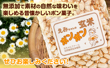 玄米ポンポン 元ちゃんファーム《90日以内に出荷予定(土日祝除く)》 和歌山県 紀の川市 玄米 菓子 送料無料