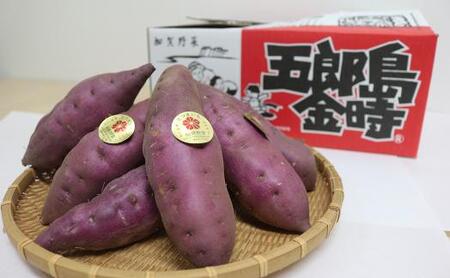 さつまいも JA金沢市 加賀野菜　五郎島金時 秀品・5kg さつまいも