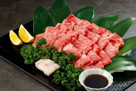 【てらおかの能登牛】 能登牛 肩ロース (4〜5等級) 焼肉用 (450g) [てらおか風舎（寺岡畜産株式会社） 石川県 志賀町 AA4285]