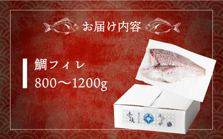 壱岐産 鯛 フィレ 800gから1.2kg [JDT006]