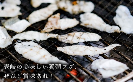 【全6回定期便】壱岐産 とらふぐ 焼きふぐ 240g（40g×6P）希少部位とおとうみ付 [JDT052]