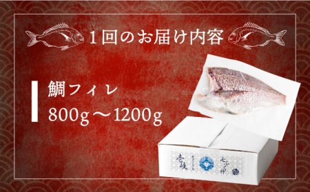 【全2回定期便】壱岐産 鯛 フィレ 800gから1.2kg [JDT068]