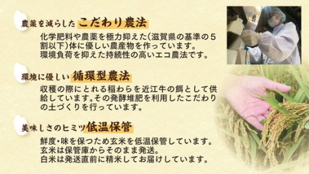 【7年産】強い粘りと旨味！お米の王様「コシヒカリ」　白米　10kg（5kg×2）【C030W】（米 コメ こめ 白米 はくまい ごはん ご飯 精米 こしひかり コシヒカリ  近江米 10キロ 10kg 5キロ 5kg）