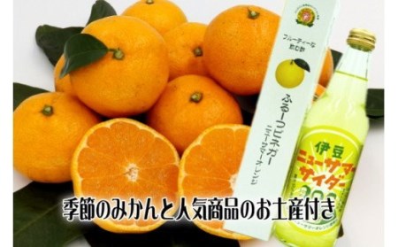 みかん狩り　収穫体験　搾りたて　生ジュース　お土産付　2名様　B018／収穫体験農園ふたつぼり　静岡県　東伊豆町