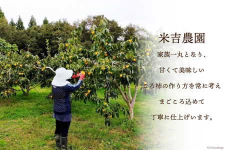 【令和7年産】 ころ柿 500g [米吉農園 石川県 志賀町 BA4133]