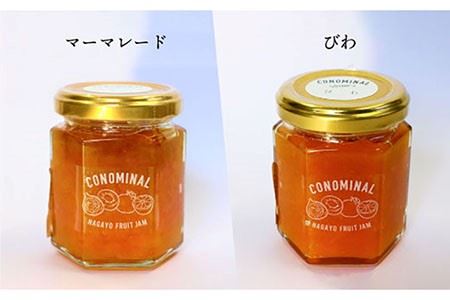 【全6回定期便】 季節の果実ジャム 毎月3本（120g/本） 長与町/アグリューム [EAI008]  瓶 個別 セット ジャム