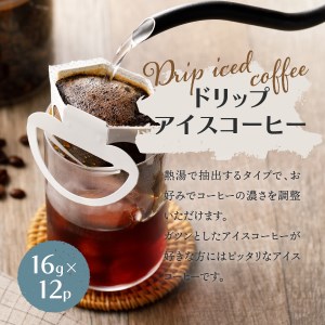 フレスカ特注 こだわりアイスコーヒーセット （ピラミッド型・ドリップバッグ） 珈琲 水出しコーヒー ドリップバッグ 豆 自家焙煎 珈琲 