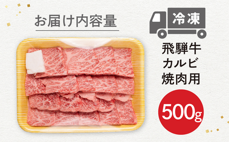 飛騨牛 カルビ焼肉 500g 冷凍 焼き肉 JAひだ 飛騨牛 [Q3002]