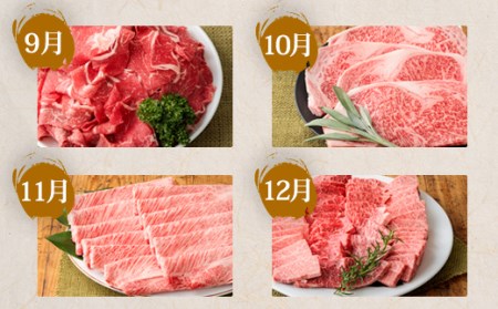 国産ブランド牛の定期便『宮崎牛づくし たかはる定期便 計9.6kg』黒毛和牛を12ヶ月お届け！ TF0308-P00020