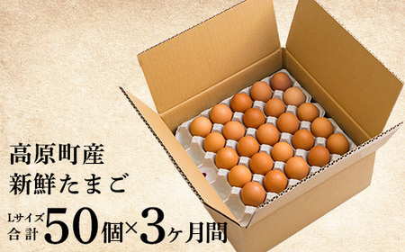 定期便《卵50個×3ヶ月間》産地直送たまご『きみの力(チカラ)』(年3回配送) Lサイズの大玉を3ヶ月で合計150個お届け！ TF0416-P00035