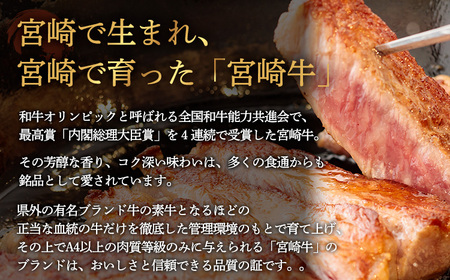 日本一美味しい黒毛和牛の「宮崎牛スライス」(600g) TF0557-P00020
