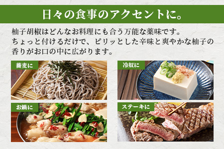 【椎葉村産天然ゆず・唐辛子使用】青柚子胡椒 2本×60g 柚子胡椒 柚子こしょう 青柚子胡椒 柚子 天然ゆず 調味料 薬味 うどん 餃子 HF-84