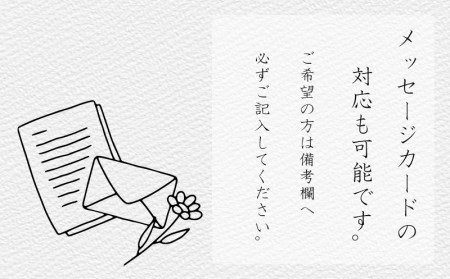 胡蝶蘭 5株 花 ギフト 記念日 お祝い 胡蝶蘭